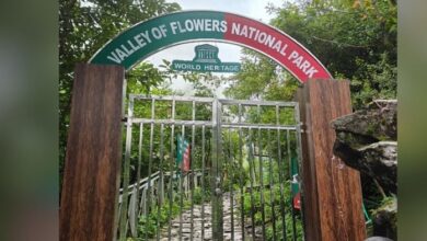Photo of उत्तराखंड: मौसम के अलर्ट के चलते फूलों की घाटी पर्यटकों के लिए आज बंद