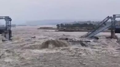 Photo of पंजाब: उज्ज, रावी-ब्यास और सतलुज उफनाई, गांव डूबने से हजारों लोग बेघर