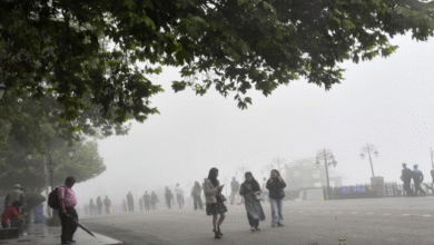Photo of दो महीने बाद हिमाचल में पटरी पर लौटने लगा पर्यटन कारोबार
