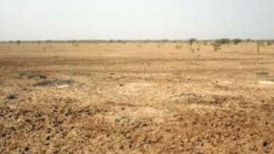 Photo of पंजाब में इन जमीनों को लेकर सरकार ने लिया बड़ा फैसला