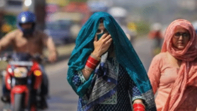 Photo of यूपी: प्रदेश में मौसम ने ली करवट, 11 सितंबर तक धूप और उमस करेगी परेशान
