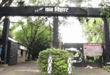 Photo of मध्य प्रदेश: वन विहार में इसी महीने बंद होगा निजी वाहनों का प्रवेश