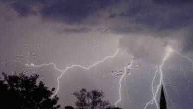 Photo of यूपी में कहर बनकर बरसे बादल, बारिश और बिजली गिरने 10 लोगों की मौत