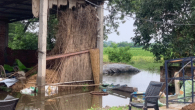 Photo of पंजाब: रावी के उफान ने सब कुछ छीना, घर-खेत डूबे