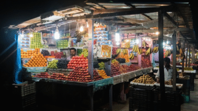 Photo of दिल्ली:  नवरात्रि पर सेब, अनार, केला और नारियल, फलों के दामों में 25-35 फीसदी की वृद्धि
