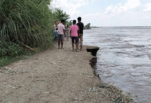 Photo of बिहार: बेतिया में गंडक नदी का कहर, सैकड़ों लोग बेघर