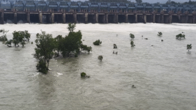Photo of पंजाब: पठानकोट में पहाड़ दरके, लुधियाना में सेना ने संभाला मोर्चा
