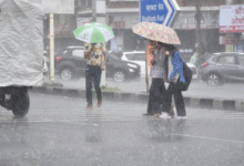 Photo of मध्य प्रदेश: मंडला, डिंडौरी, अनूपपुर-बालाघाट तेज आज बारिश का अलर्ट