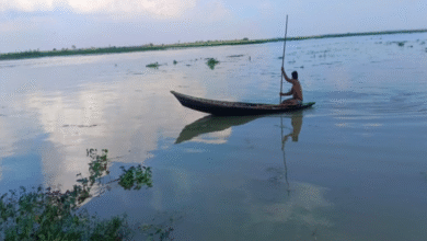Photo of बारिश ने तोड़ा 20 साल का रिकॉर्ड, आबादी में घुसी गंगा