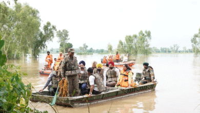 Photo of सीएम मान ने नाव से फिरोज़पुर के बाढ़ प्रभावित क्षेत्रों का दौरा किया