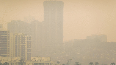 Photo of ओजोन प्रदूषण से दिल्ली-एनसीआर और मुंबई सर्वाधिक प्रभावित