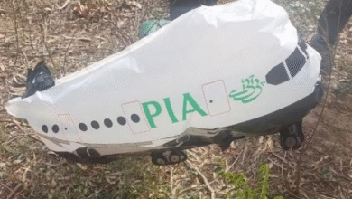 Photo of राजोरी में पाकिस्तानी गुब्बारा मिलने से सनसनी, सुरक्षा एजेंसियां सतर्क