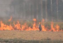 Photo of पंजाब में पराली जलाने का रिकॉर्ड टूटा, एक दिन में 283 मामले