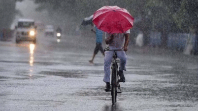 Photo of हरियाणा में बादल छाने और हल्की बारिश की संभावना