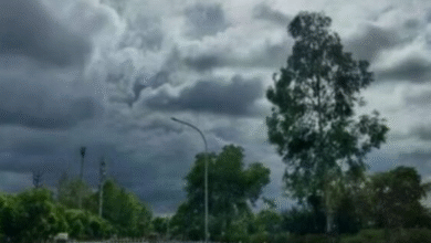 Photo of मध्यप्रदेश में ठंड ने दी दस्तक: पहाड़ों में बर्फबारी का असर