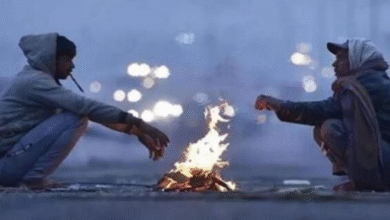 Photo of पंजाब: सर्दी को लेकर मौसम विभाग ने दी नई जानकारी