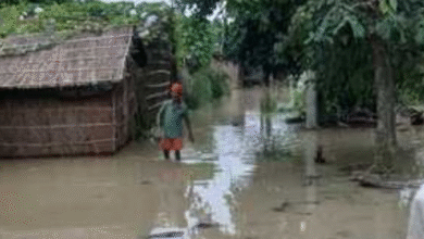 Photo of मुजफ्फरपुर जिले में बागमती नदी उफान पर