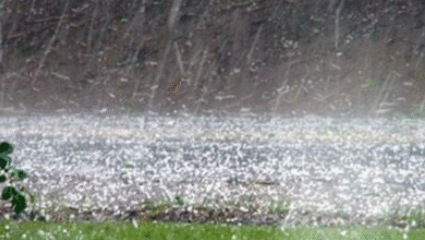 Photo of यूपी में मौसम ने ली करवट, 11 जिलों में ओले गिरने का अलर्ट