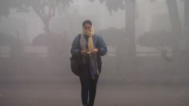 Photo of यूपी: प्रदेश से मानसून हुआ विदा, सुबह और शाम हवा में घुली ठंड