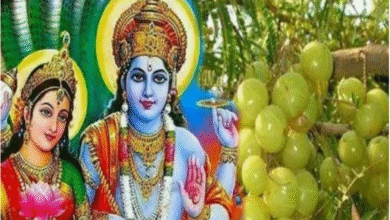 Photo of अक्षय नवमी की रात करें आंवले से जुड़े ये उपाय