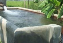 Photo of दिल्ली के भूजल में यूरेनियम का स्तर सुरक्षित मानक से अधिक