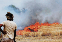 Photo of हरियाणा में एक ही दिन में सात जगह धान के अवशेष जलाने के मामले