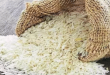 Photo of भारत ने चावल निर्यात कर महंगाई पर लगा दी लगाम, 39% तक हुआ सस्ता