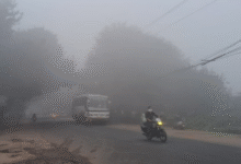 Photo of पंजाब में हल्का कोहरा 5 डिग्री तक पहुंचा न्यूनतम पारा