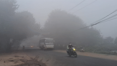 Photo of पंजाब में हल्का कोहरा 5 डिग्री तक पहुंचा न्यूनतम पारा