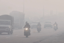 Photo of पंजाब में बड़ी ठंड , न्यूनतम पारा 2 से 3 डिग्री