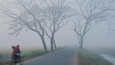 Photo of मध्य प्रदेश में ठंड ने तोड़ा 84 साल का रिकॉर्ड, शीतलहर का अलर्ट जारी