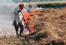 Photo of पंजाब में पराली जलाने के मामले घटे