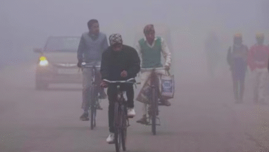 Photo of पहाड़ों से चल रही ठंडी हवाओं के कारण पंजाब का गिरा तापमान