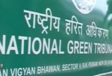 Photo of अवैध रूप से पेड़ों की कटाई-छंटाई के मामले में निगम को कड़ी फटकार