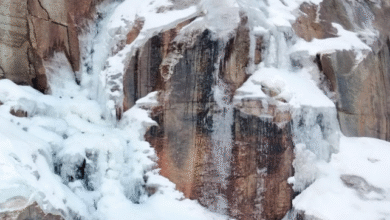 Photo of हिमाचल प्रदेश के 11 स्थानों पर न्यूनतम पारा 5 डिग्री से कम