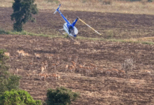 Photo of मध्यप्रदेश में चला देश का पहला हाई-टेक वन्यजीव कैप्चर अभियान