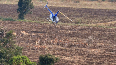Photo of मध्यप्रदेश में चला देश का पहला हाई-टेक वन्यजीव कैप्चर अभियान
