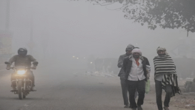 Photo of पंजाब में आई ठंड: 11 डिग्री तक पहुंचा न्यूनतम तापमान