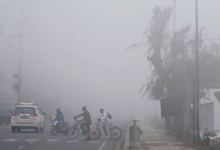 Photo of पंजाब में शीत लहर,  मौसम विभाग ने जारी की नई चेतावनी