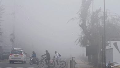 Photo of पंजाब में शीत लहर,  मौसम विभाग ने जारी की नई चेतावनी