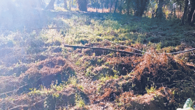 Photo of हिमाचल में किसानों को बारिश का इंतजार, गेहूं की बिजाई पर संकट