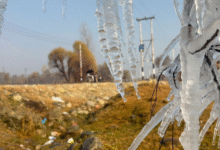 Photo of श्रीनगर-काजीगुंड में सर्दी ने तोड़ा 18 साल का रिकॉर्ड