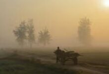 Photo of बिहार में इस दिन से पड़ेगी कड़ाके की ठंड