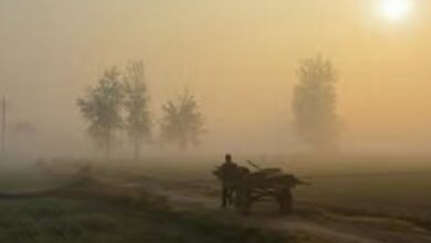 Photo of बिहार में इस दिन से पड़ेगी कड़ाके की ठंड