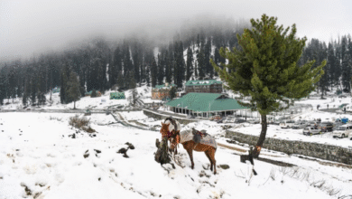 Photo of भारी बर्फबारी से मुगल रोड और श्रीनगर-लेह हाईवे, राजदान दर्रा बंद