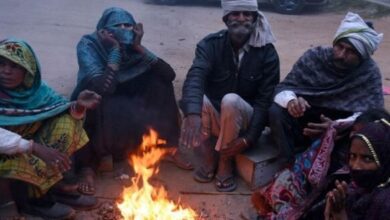 Photo of हरियाणा में शीत लहर का प्रकोप: हिसार में रात का पारा 6.3 पर पहुंचा