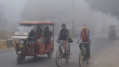 Photo of यूपी में ठंड का कहर, तेजी से गिर रहा तापमान