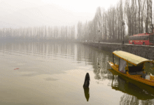 Photo of कश्मीर घाटी में कड़ाके की ठंड… शून्य से नीचे पहुंचा पारा