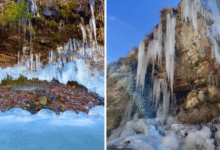 Photo of हिमाचल प्रदेश: पहाड़ी क्षेत्रों में जम गए नाले-झरने, मैदानों में छाया कोहरा