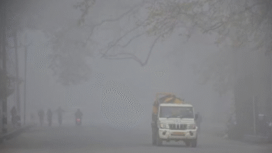 Photo of यूपी में शीतलहर का असर खत्म , मौसम विभाग ने जारी किया अलर्ट